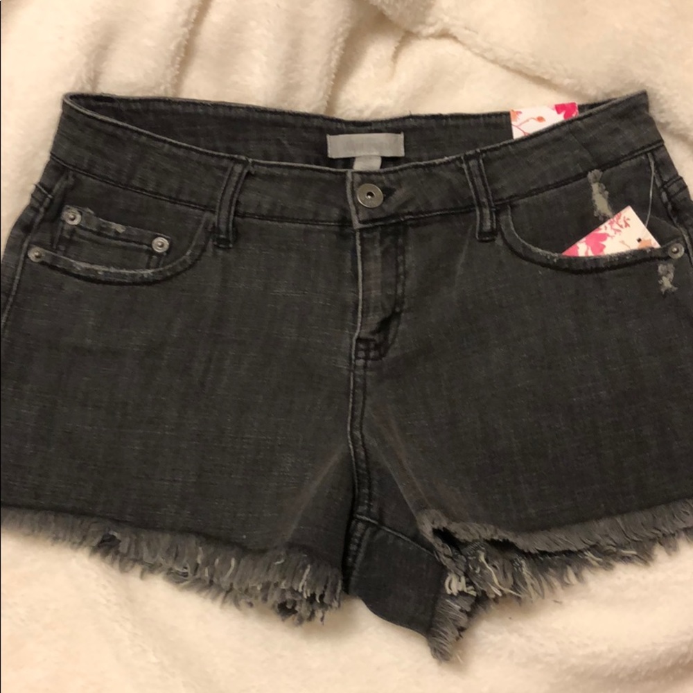 NWT Faded Black Denim Shorts. Size 28.